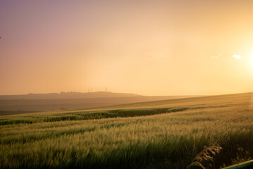 Farm field in sunset colours and cloudy skies