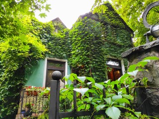 garden (green) house