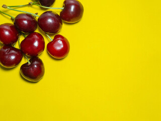bright ripe sweet cherry on a yellow background. Berry with stem. Cherry isolate. Ingredient for jam and compote.