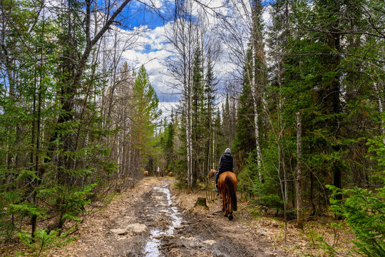Odamlar janjallashadigan smayllar