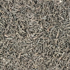 Black tea leaves spread on white background seamless pattern
