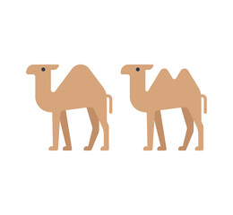 Camel vector isolated icon set