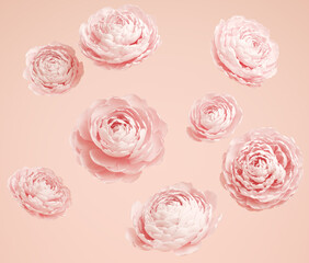 Falling roses on pink background. Background for cosmetic product branding, identity and packaging.  3d rendering