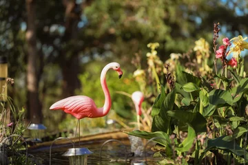 Fotobehang Vibrant pink plastic fake flamingo statues in backyard pond © Caseyjadew