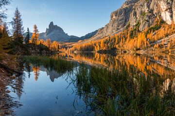 Amazing autumn scenery in the Dolomites mountains by the Lake Federa in the fall. National Unesco park in Italy.
