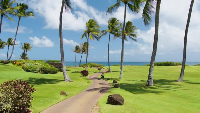 Summer background RED shot. Resort trail in green park with palm trees. POV Tropical Vacation 4K, summer on Hawaii 4K. View of the palm trees on perfect golf field at the ocean under sunny blue skies