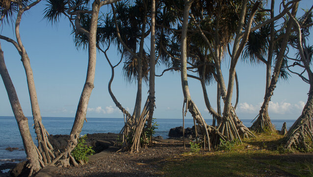 View from the seashore