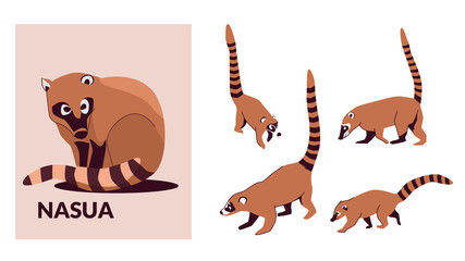 Set Nosua, or coati, is a genus of small mammals of the raccoon family, common in both American continents. Vector illustration isolated on white background