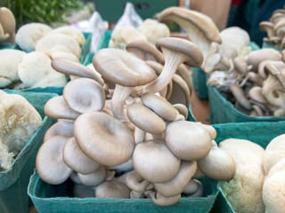 Mushrooms at a Farmer's Market, Columbia, SC