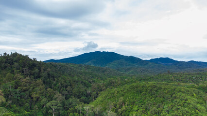 Fototapeta na wymiar Tropical rainforest mountains in Aceh, Indonesia.