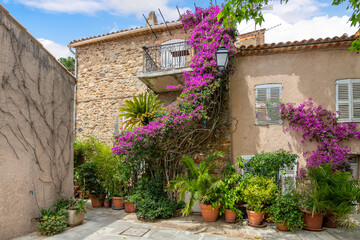 Colorful purple bougainvillea flowers line the narrow streets of the Old Town area of the medieval village of Grimaud, France, in the hills above Saint-Tropez on the Cote d'Azur.