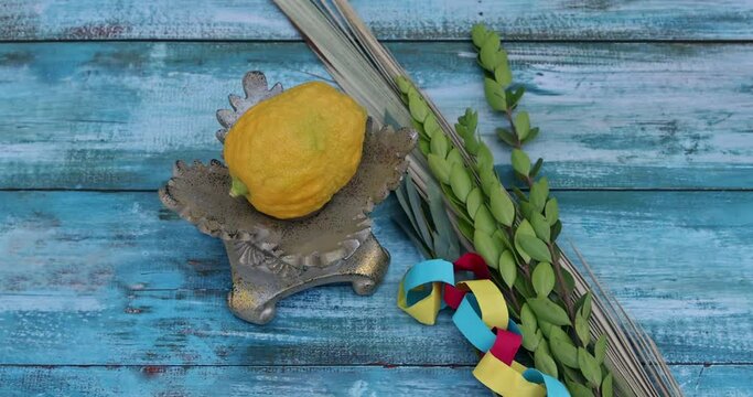 Jewish Holiday Sukkot traditional festival symbols four species Etrog lulav hadas arava.