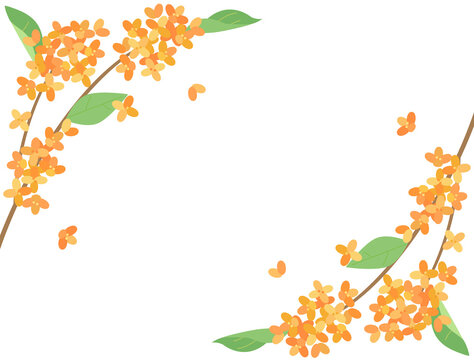 金木犀 Images Browse 1 006 Stock Photos Vectors And Video Adobe Stock
