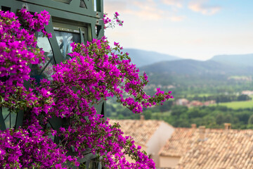 Fototapeta na wymiar Purple bouganvillea blossoms overlooking the medieval town of Grimaud France with the hills of Saint-Tropez, France in view in the distance. Selective focus on the plant.