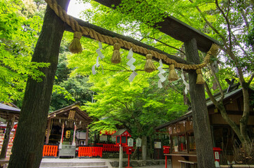 京都　嵐山　嵯峨野　野宮神社