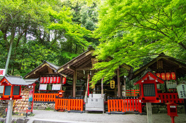 京都　嵐山　嵯峨野　野宮神社
