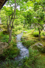 Obraz premium 京都 嵯峨野 嵐山 天龍寺