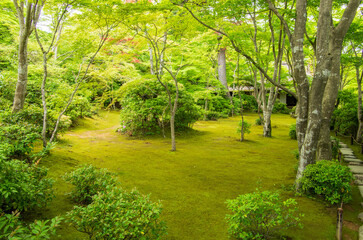 京都嵯峨野　大河内山荘庭園