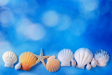 Obraz na płótnie Canvas White shells on a blue background