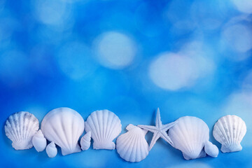 Fototapeta na wymiar White shells on a blue background