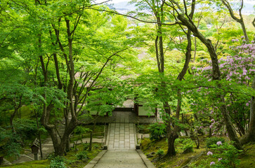 Naklejka premium 京都嵯峨野 常寂光寺