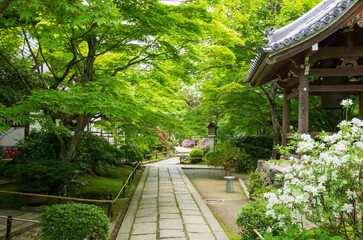 京都嵯峨野　常寂光寺