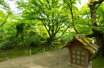 京都嵯峨野　常寂光寺