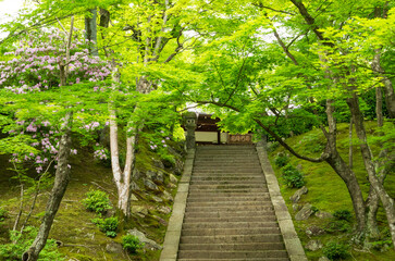 京都嵯峨野　常寂光寺