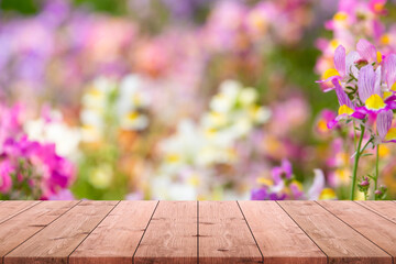 Empty wood table top and blurred yellow tulip flower tree in garden background - can used for display or montage your products. - 511796741