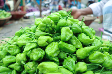 green chili peppers stock on shop