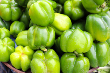 green colored capsicum stock on shop