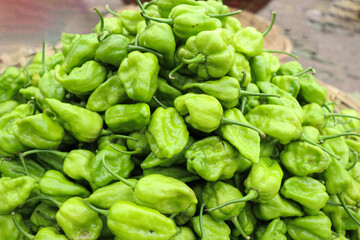 green chili peppers stock on shop