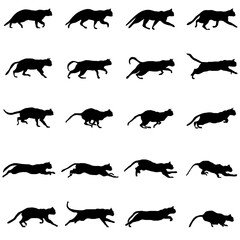 cat movements sketch collection vectors