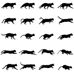 cat movements sketch collection vectors