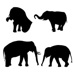 funny elephant movements sketch collection vectors