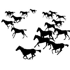 horse running movements sketch vectors