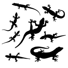 lizard movements sketch collection vectors