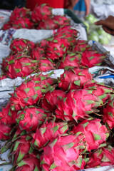 dragon fruit stock on shop for sell