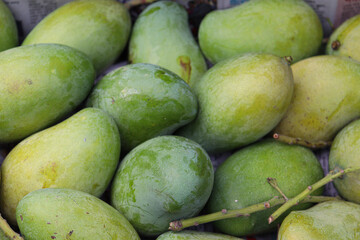 ripe mango stock on shop for sell