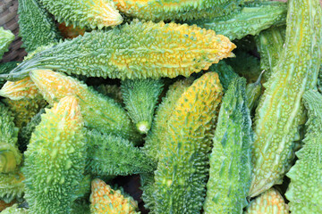 bitter melon stock on shop for sell