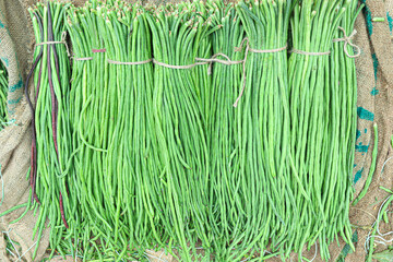Asparagus Bean stock on shop