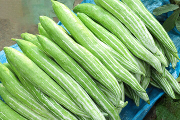 snake gourd stock on shop