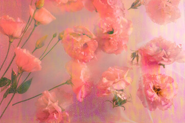 Beautiful vintage flower background - vintage filter effect.Pacific Pink 