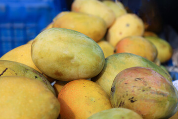 ripe mango stock on shop for sell