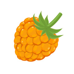 Cloudberry or yellow raspberry, vector illustration in flat cartoon style isolated on white background - obrazy, fototapety, plakaty
