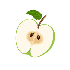 Green apple cut in half, flat style vector illustration isolated on white background