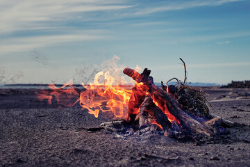 海辺の焚火 / Bonfire on the beach