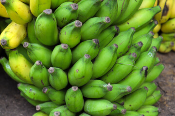 ripe banana bunch stock on shop