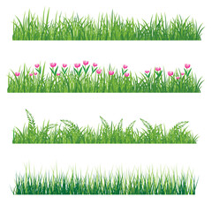 different types of grass