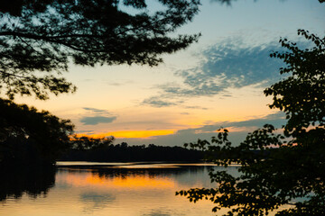 silhouette of trees lake and sunset